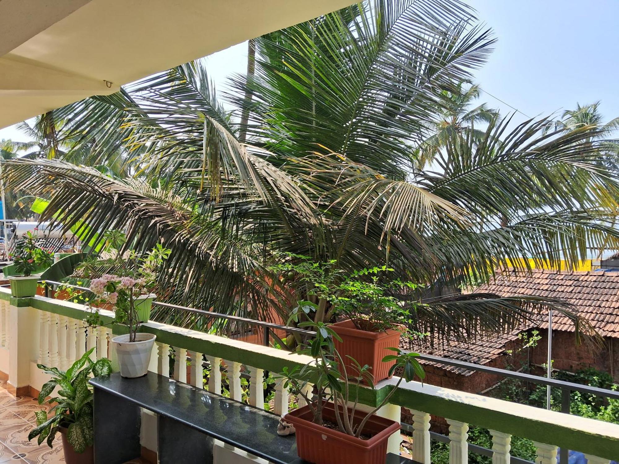 Cupid'S Heaven Resort Agonda Oda fotoğraf